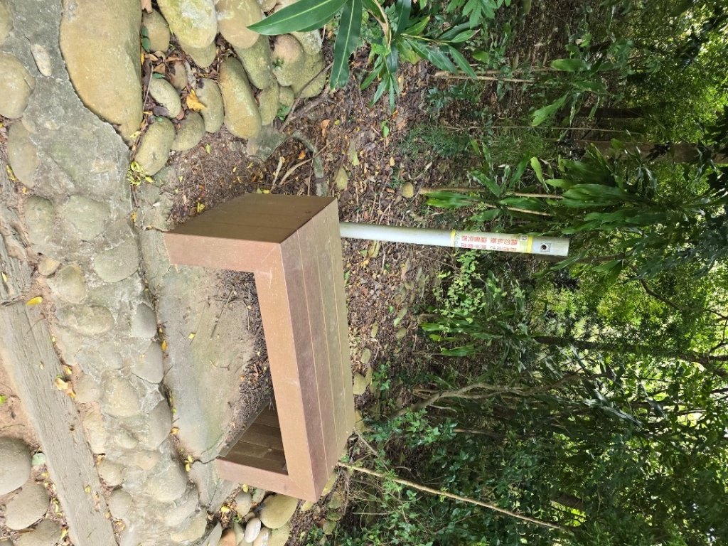 龍井-竹坑-南寮登山古道_2651036