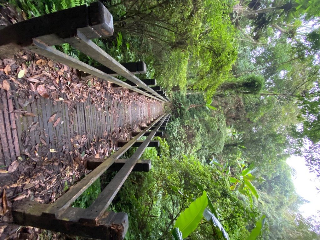 037苗栗泰安-馬那邦山_2604665