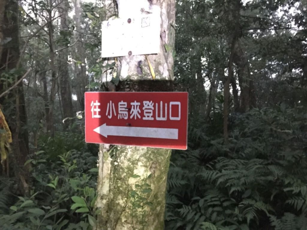 南插天山-待矢負山_291389