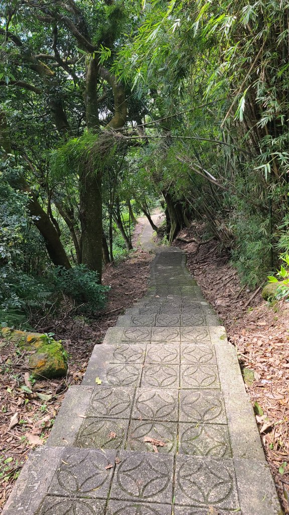 2022_0228巴拉卡到天母_1622167