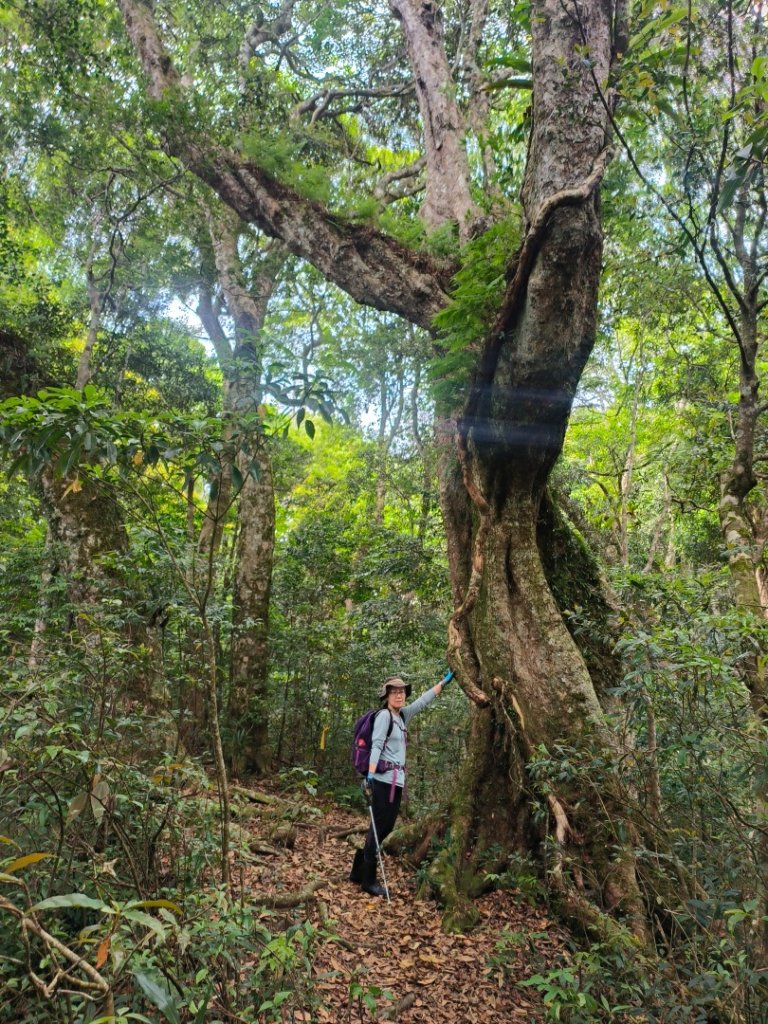 1130511夫拉縱走_2500135