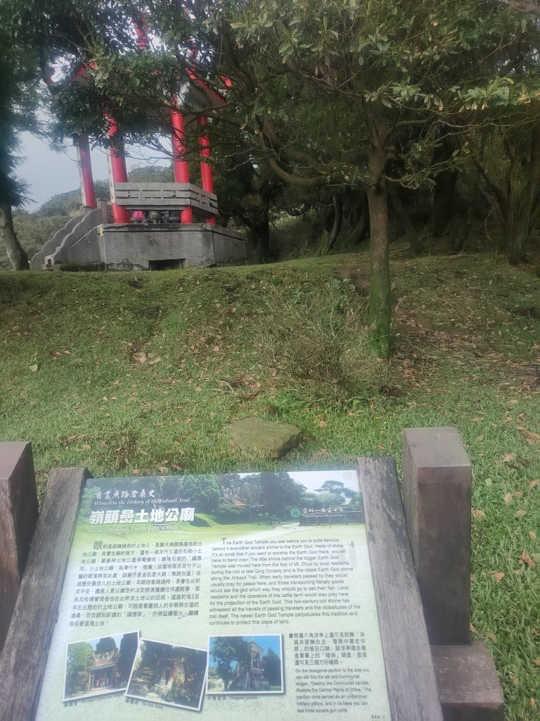 擎天崗草原_2678792