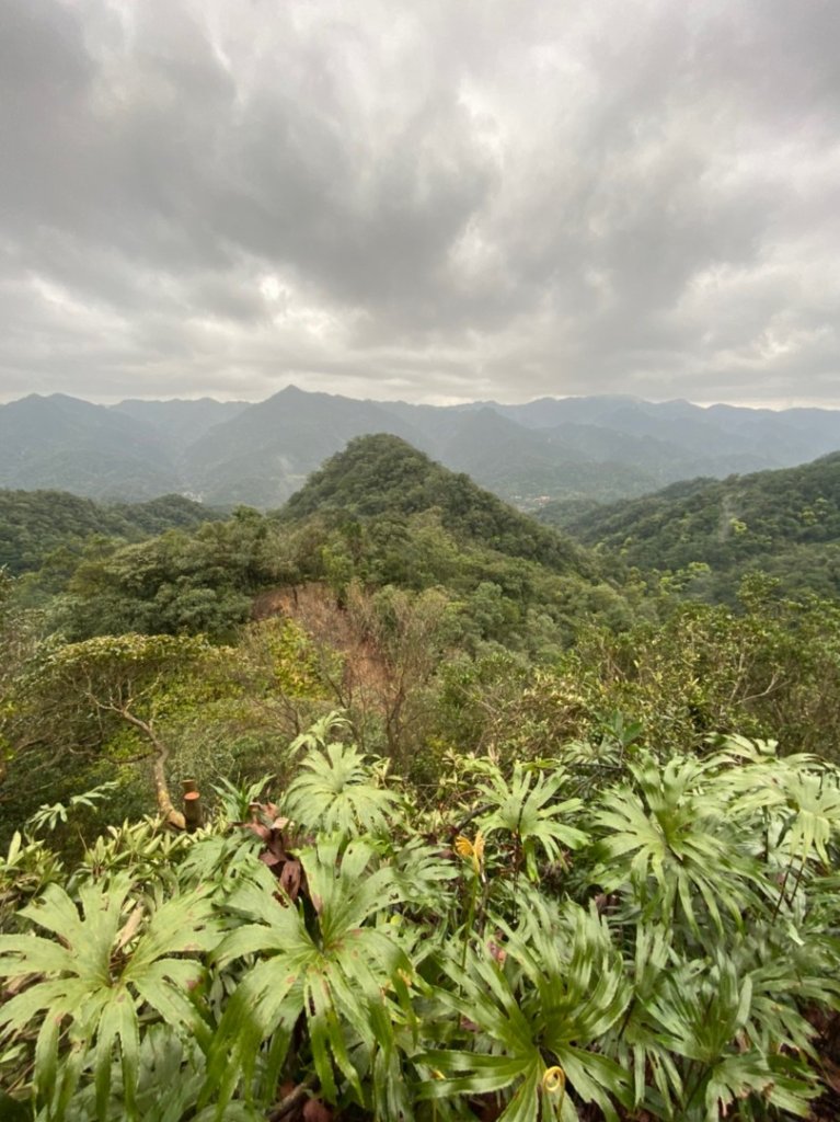 整理往平溪峰頭尖的山路2_834677