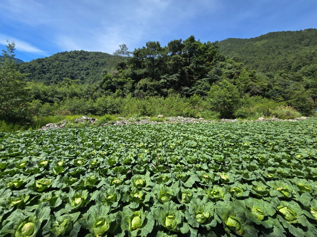 志佳陽大山（回程走高繞環山獵人登山步道）_2542120