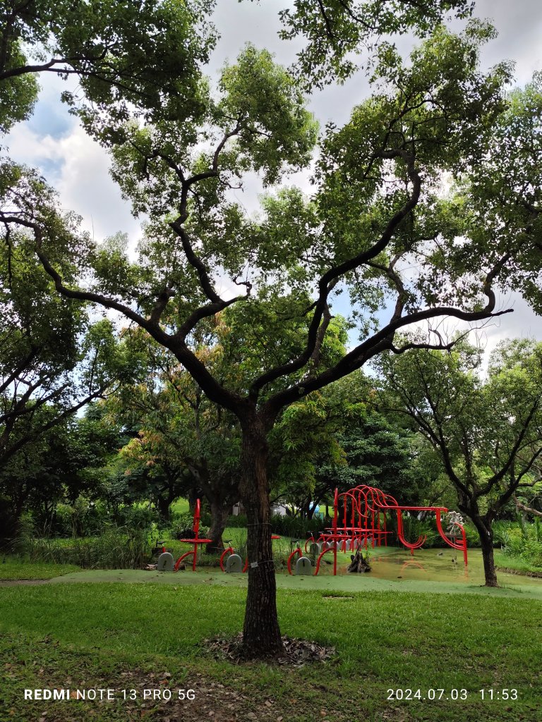 大安森林公園【走路趣尋寶】【臺北健走趣】_2541495