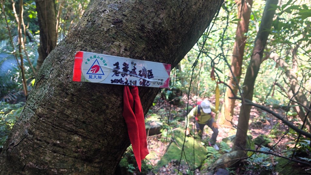 春天鮮綠的呢喃基隆荖寮坑古道上望古山登五分山O型_2747296