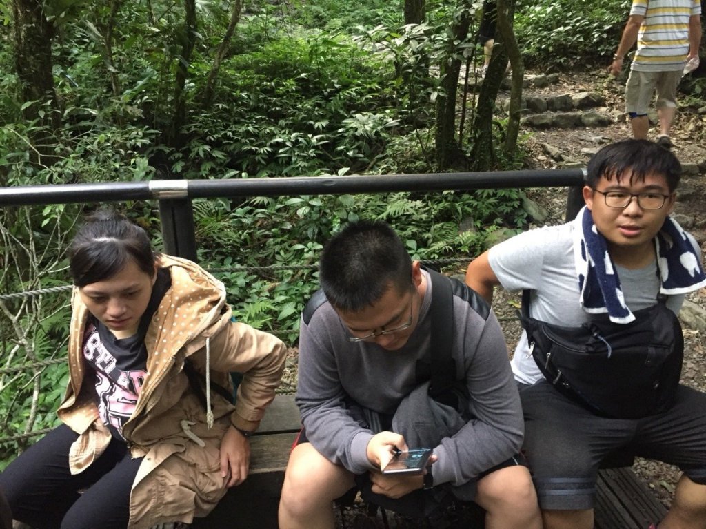 林美石盤步道一日遊_439079