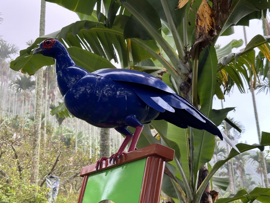 雲嘉十八連峰_1932567