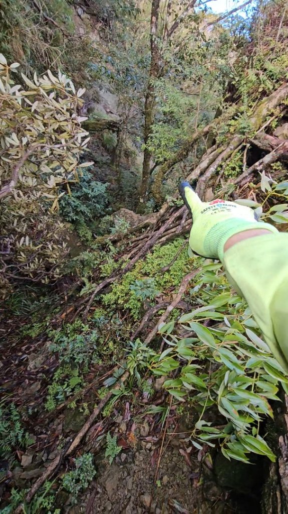 【北插天山】福山上北插天山(整理山徑架繩索布條完工)_2689840