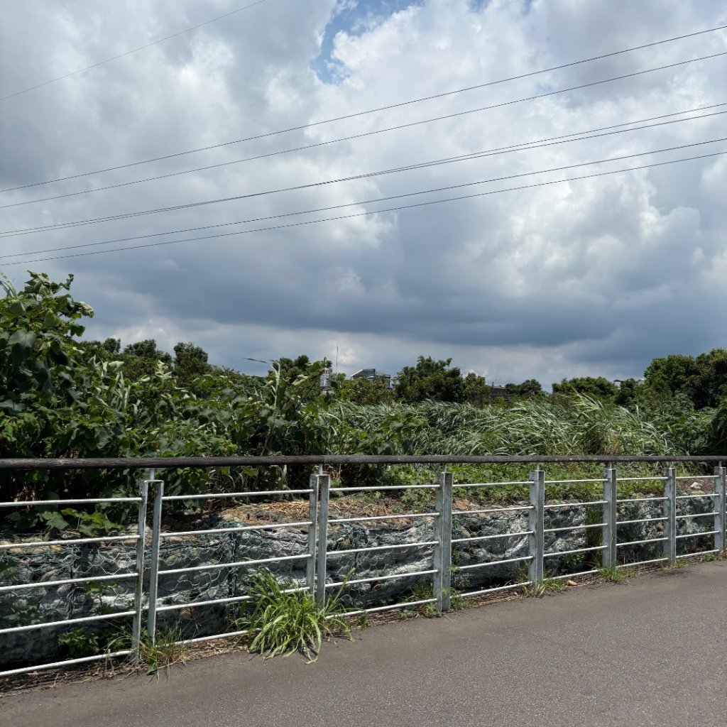 250621 霄裡好風光一日遊_2883054
