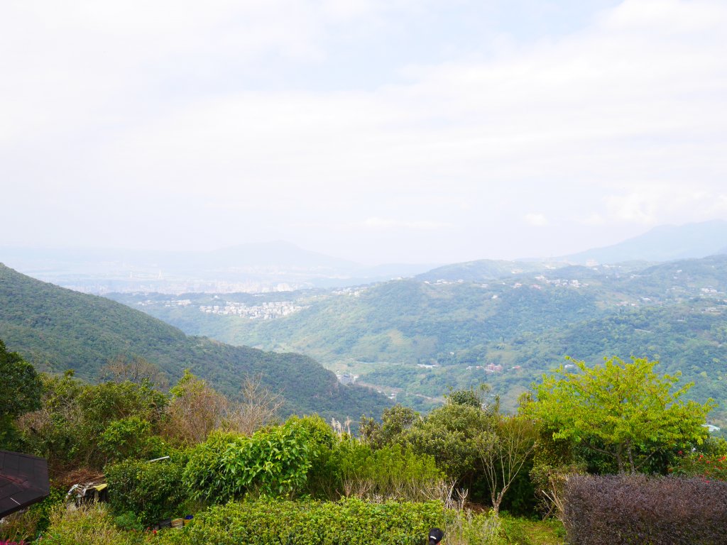 20220227｜大崙頭尾山接金面山_1621476