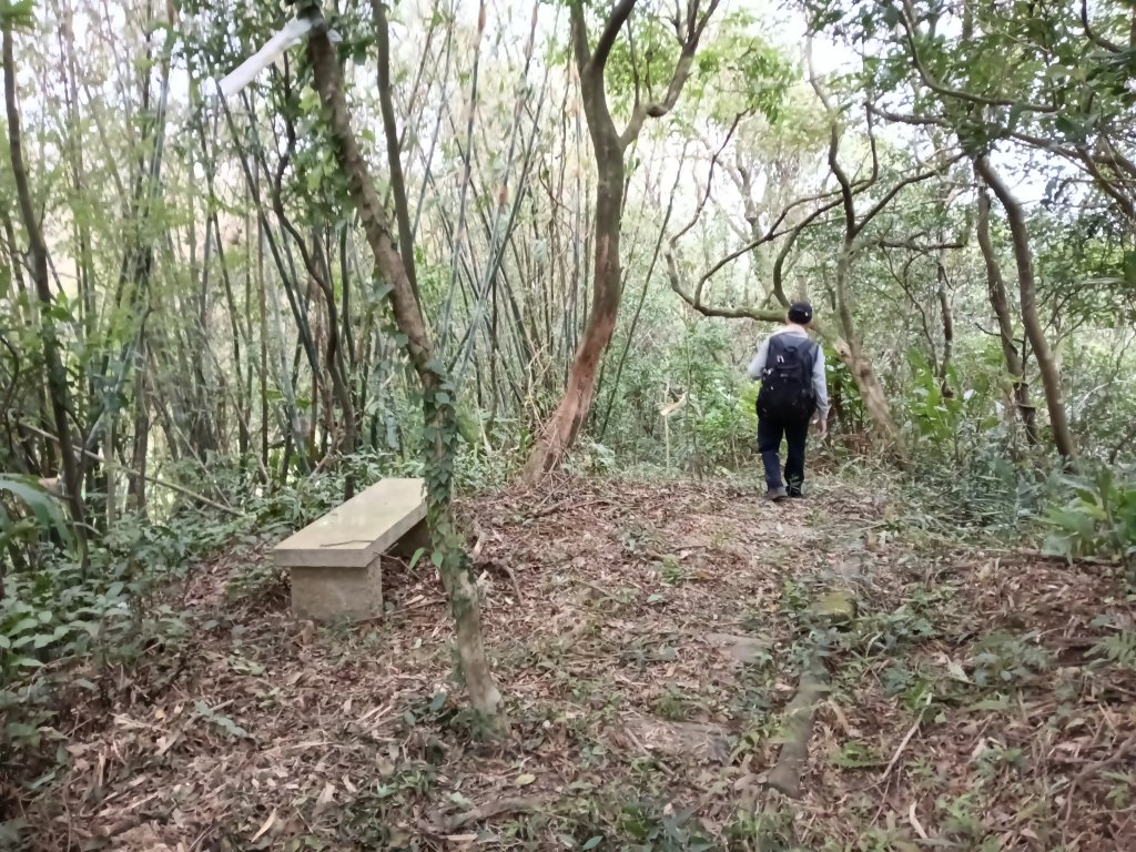 基隆市三層山+湳子大崙+淡基橫斷古道+面桶寮土地公_2982250