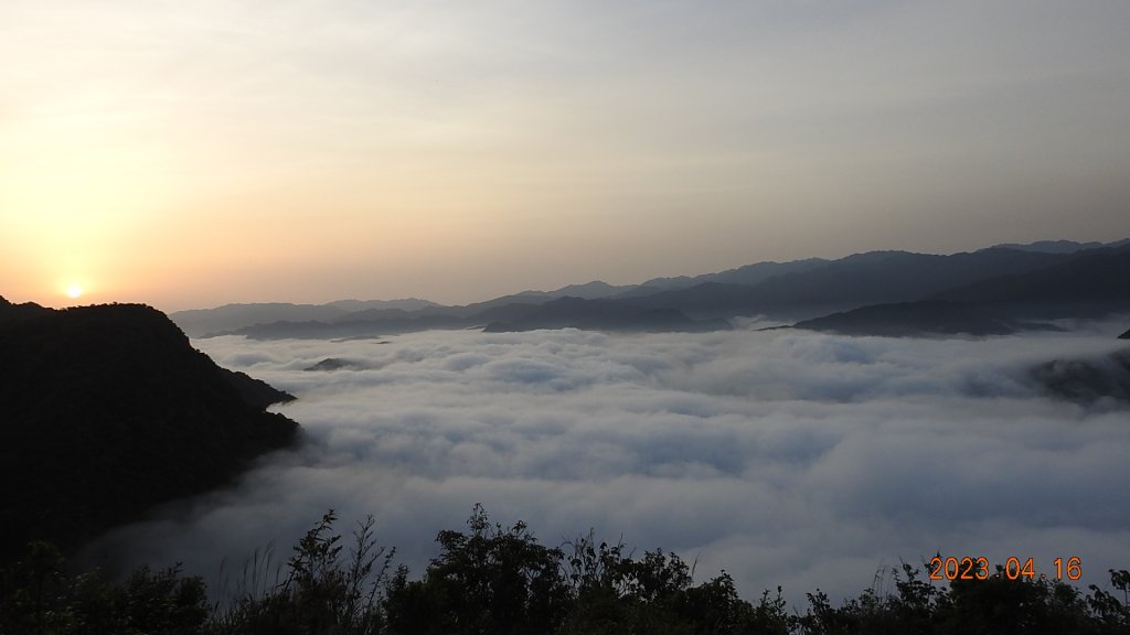 翡翠水庫壩頂(新店四十份)再見日出雲海+賞 #松月櫻 &桐花_2114877