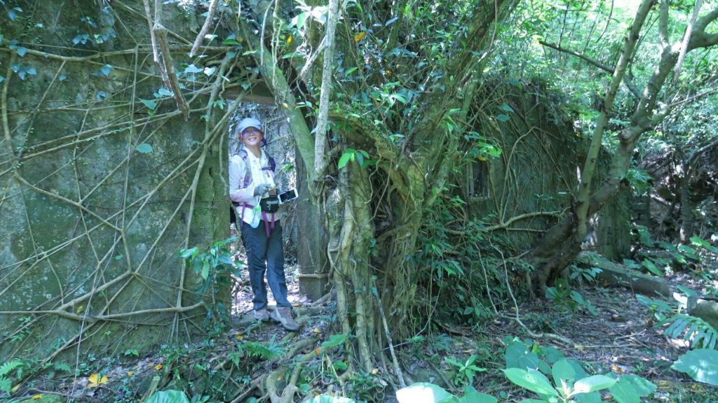 東北角嶐嶐山_374993