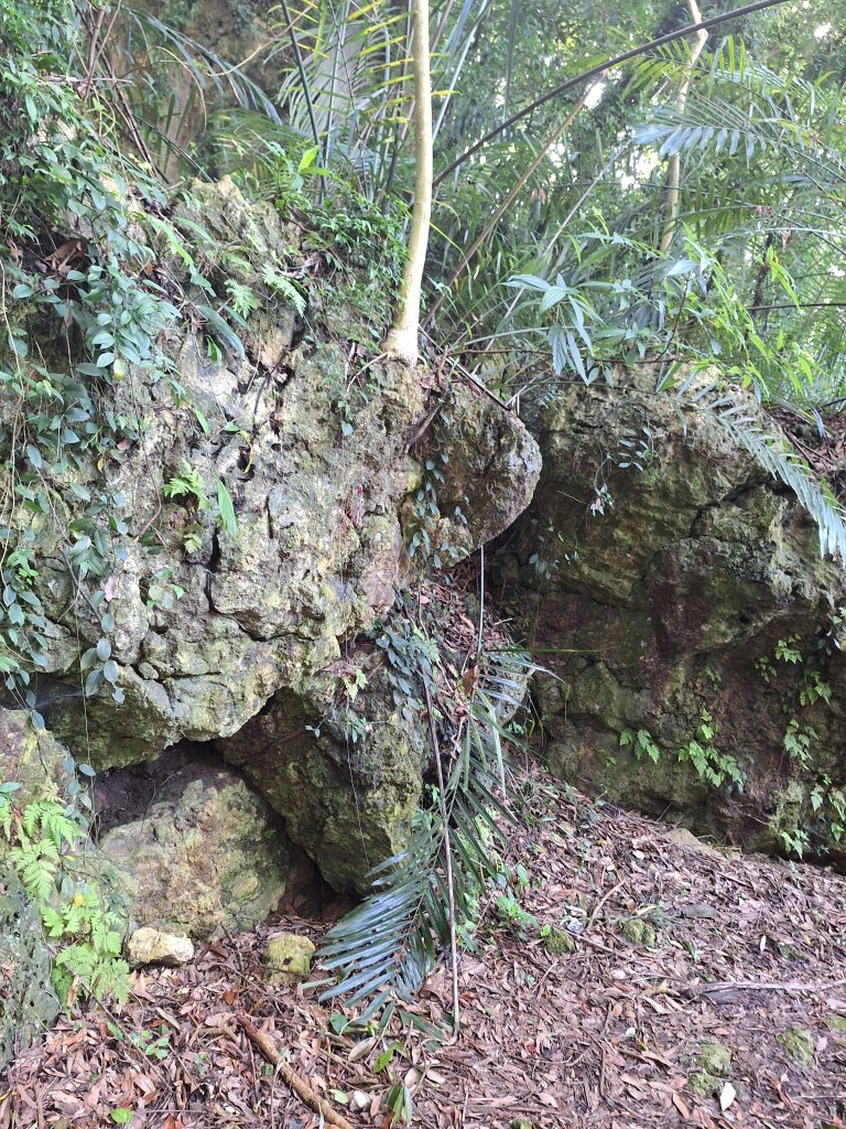 碧雲寺枕頭山O型20241006_2615765