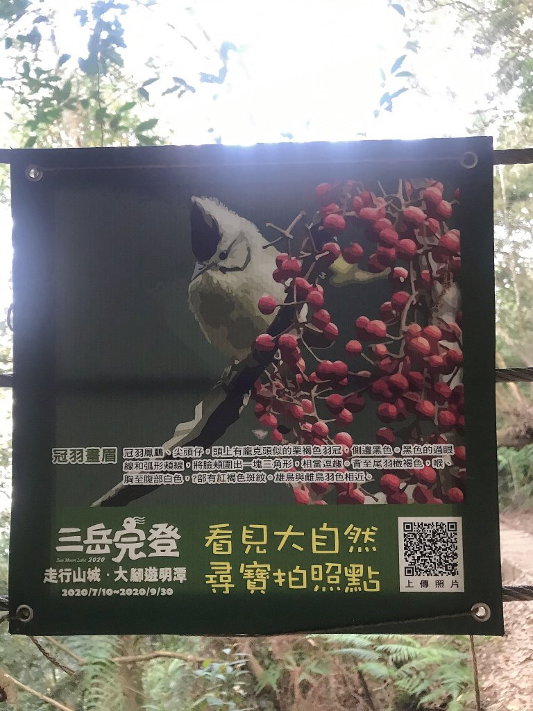 ~  水社大山登山步道  ~_1635722