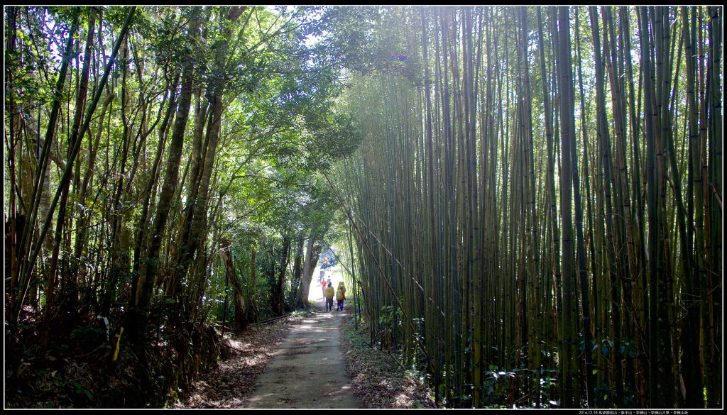 馬望僧侶山、泰平山、李棟山古堡、李棟山莊_324418