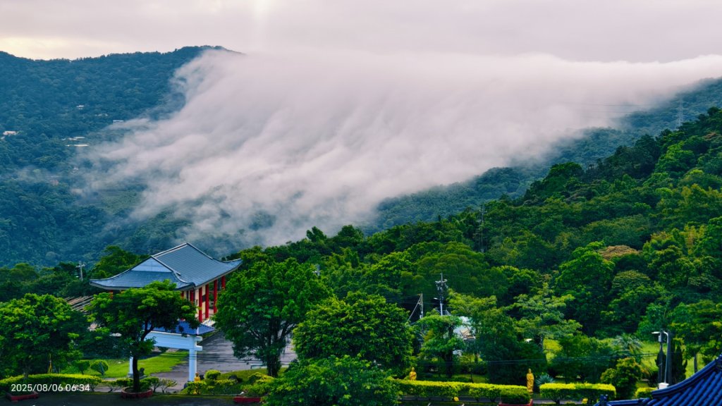 #新店四十份 #翡翠水庫壩頂 #夜景 #曙光 #雲海 #雲瀑 #藍腹鷴 8/6封面圖