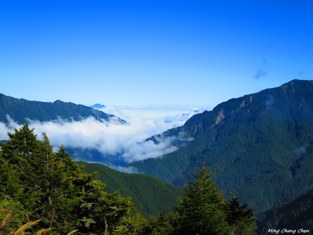 【山岳之美】~合歡群峰_6121