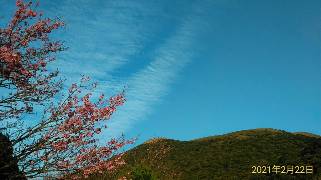 2021新春再度陽明山天際線十連峰_1282003