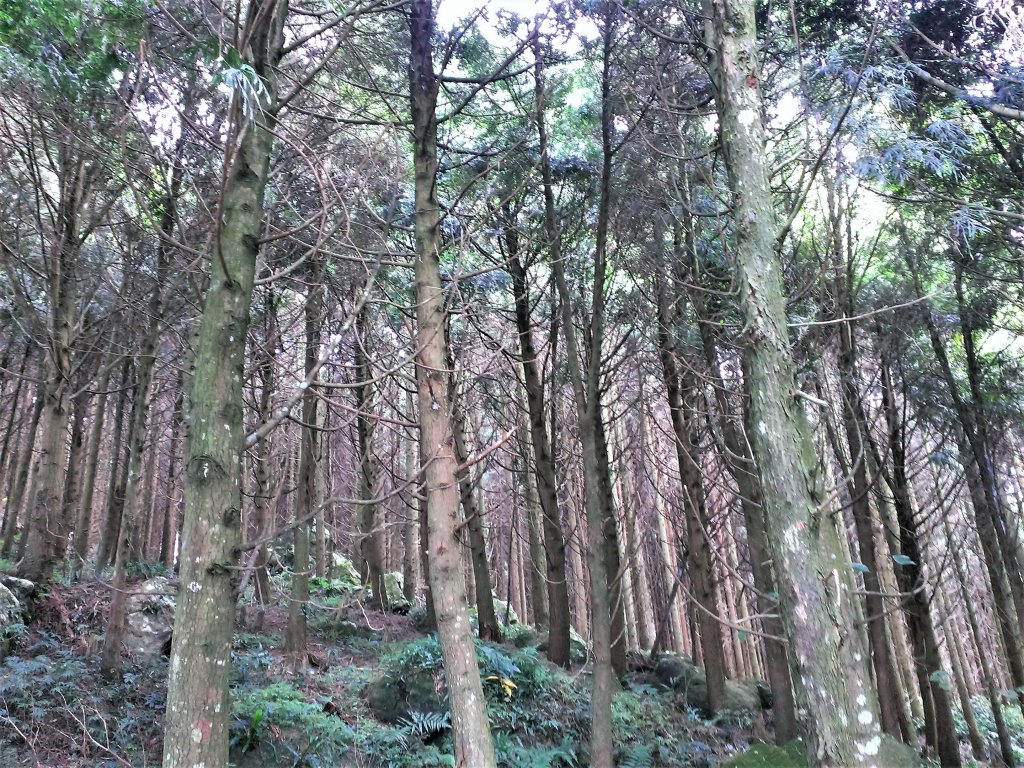 恣意橫貫五指之間_483015