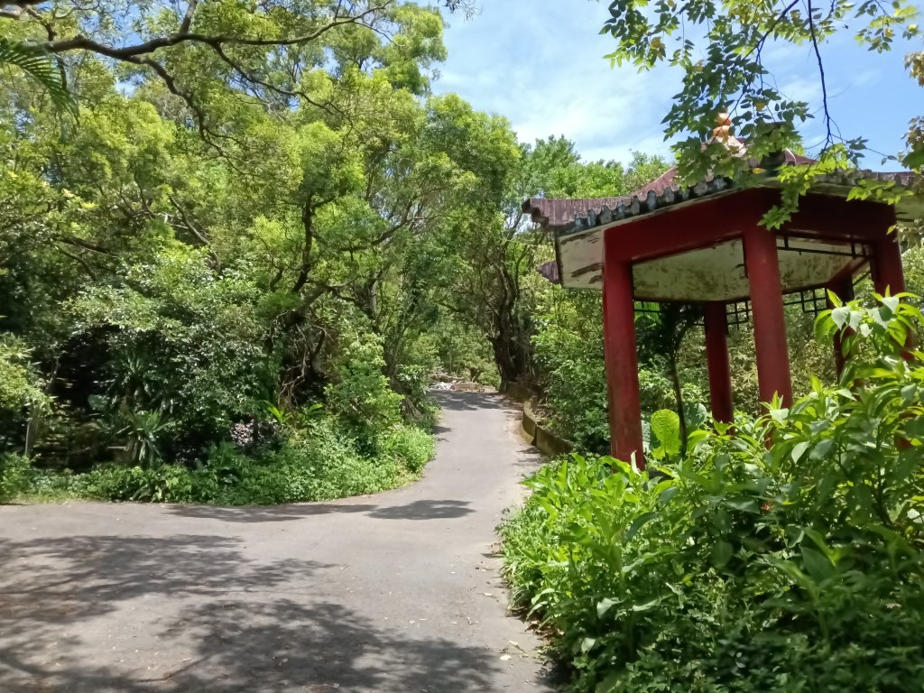瑞芳區長青早起會觀景+碧峰岩步道_2854016