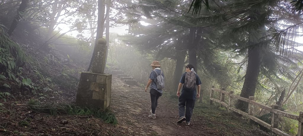 2024/08/18_馬那邦山步道_2576198