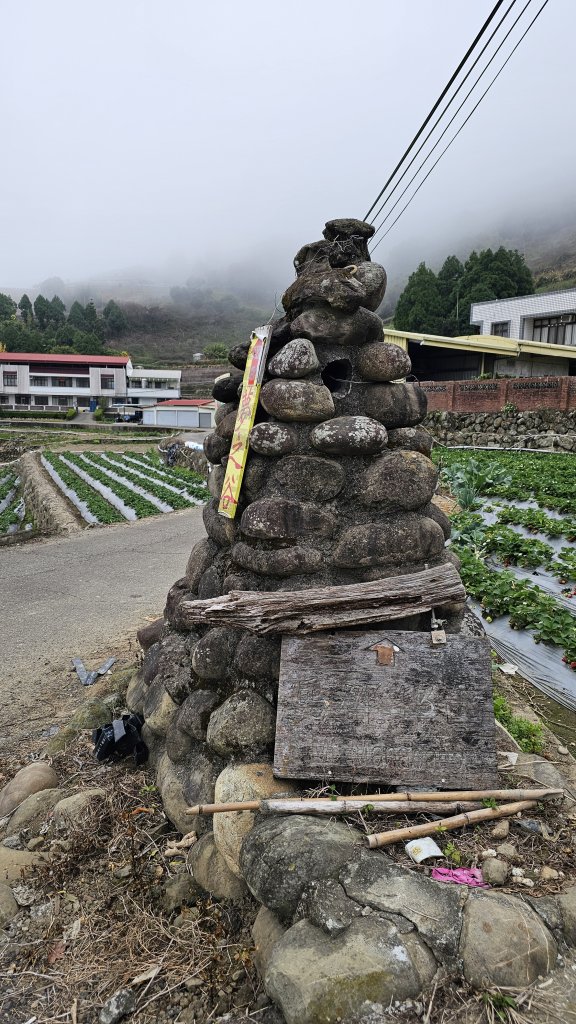 【馬年走馬山，馬到就成功！】🐴馬年馬路要走，馬那邦🏔️也要登！O繞11K，爬升900M，🥾腿在_2977163