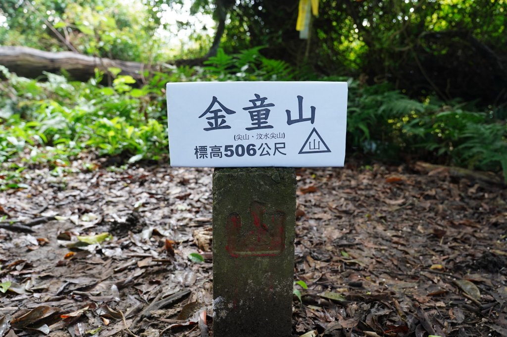 苗栗 大湖 金童山、玉女山、汶水山封面圖