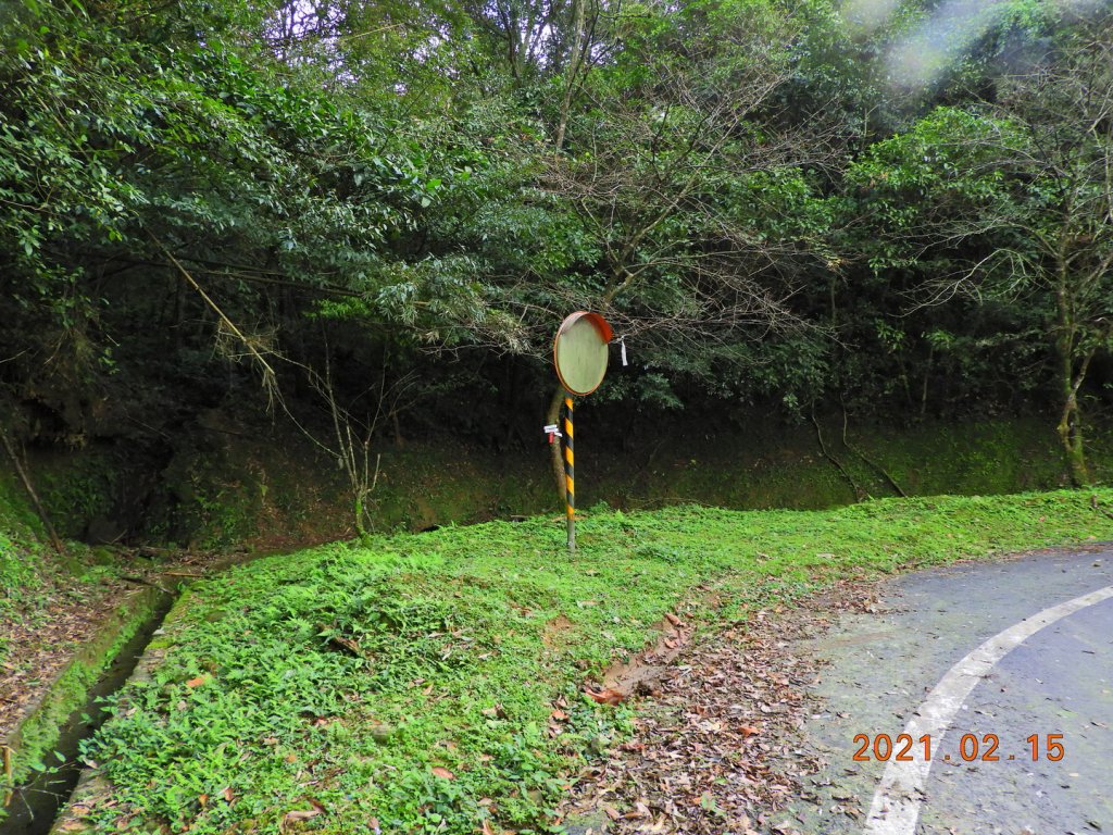 新北 雙溪 上內平林山、下內平林山_1273142