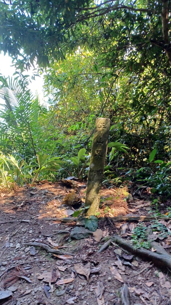 【苗栗南庄】向天湖山光天高山小O繞_2933154