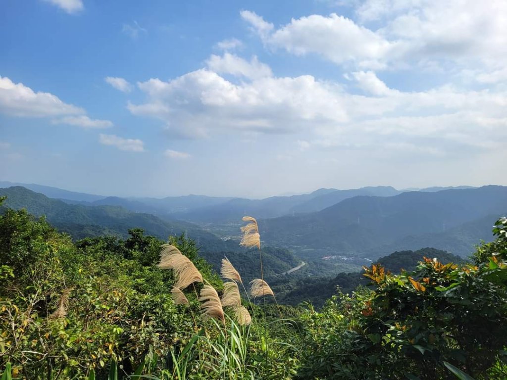 112.12.07 淡蘭古道（雙溪-十分）_2551542