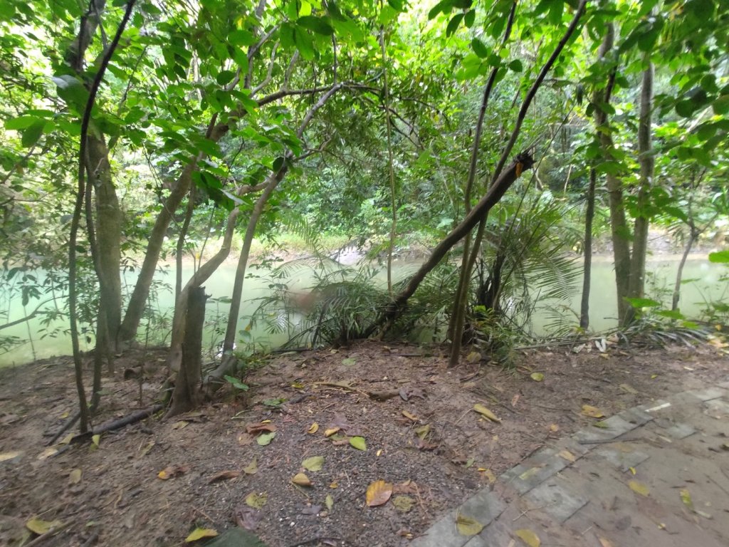 蘭潭後山步道紅毛埤山_2599644