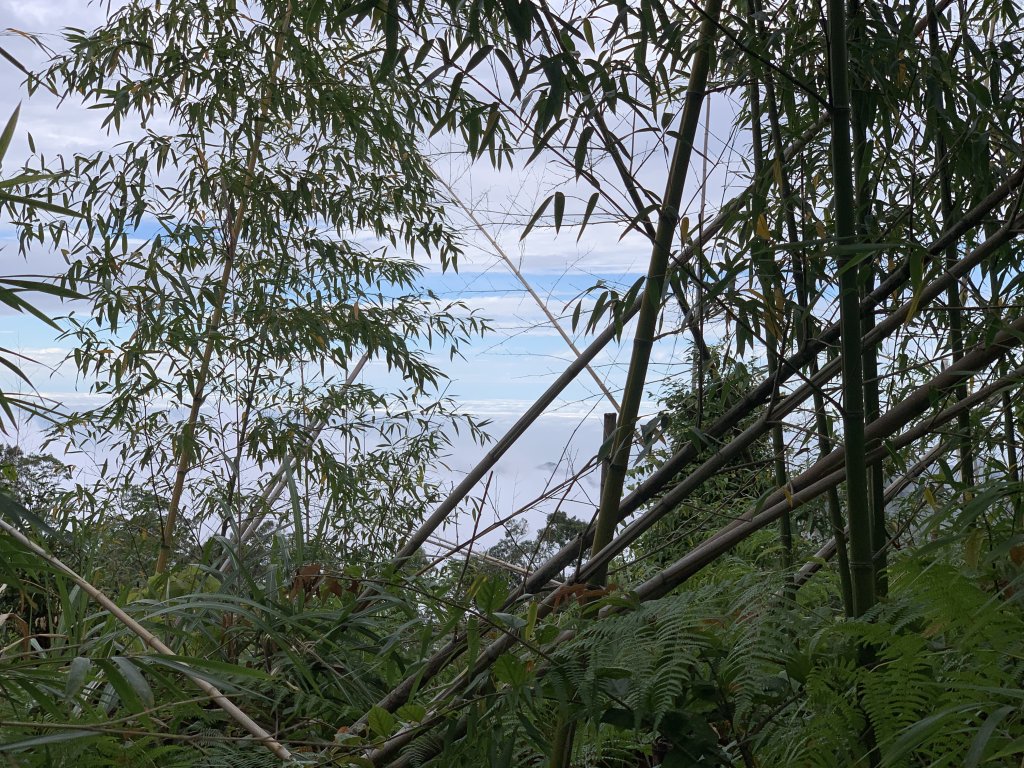 20251220嘉義凸龜山-芙蓉山-天福山_2973841