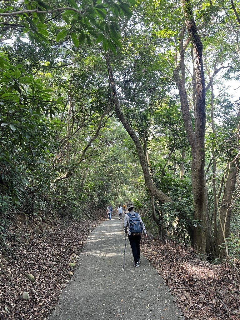 2024.10.30長青、橫山、山湖步道封面圖