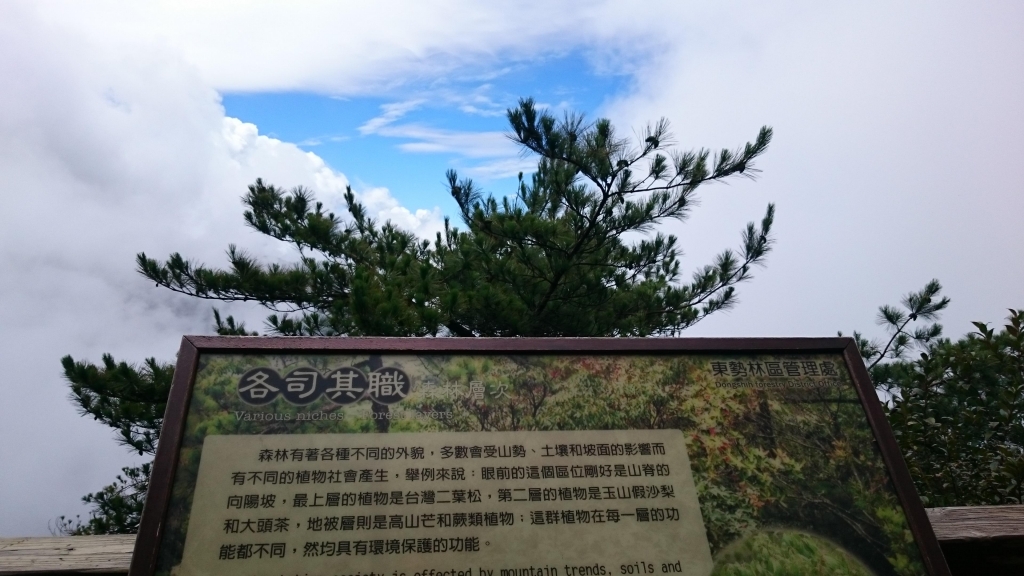 鳶嘴山步道_24398