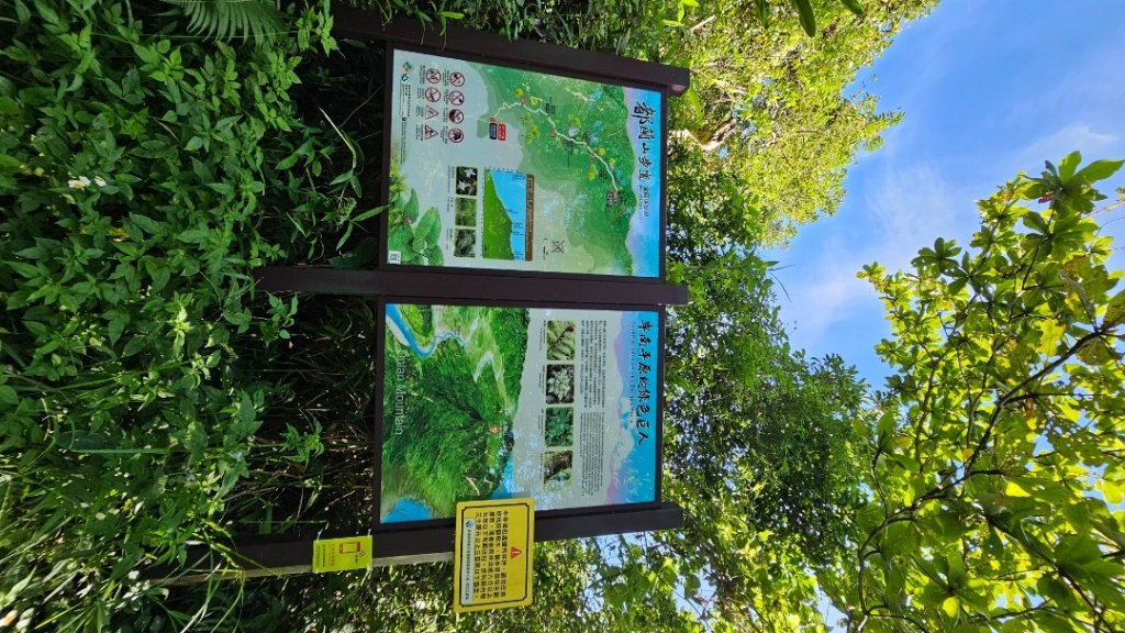 【暑假停課不停走】解鎖第49座小百岳#093都蘭山_2822521