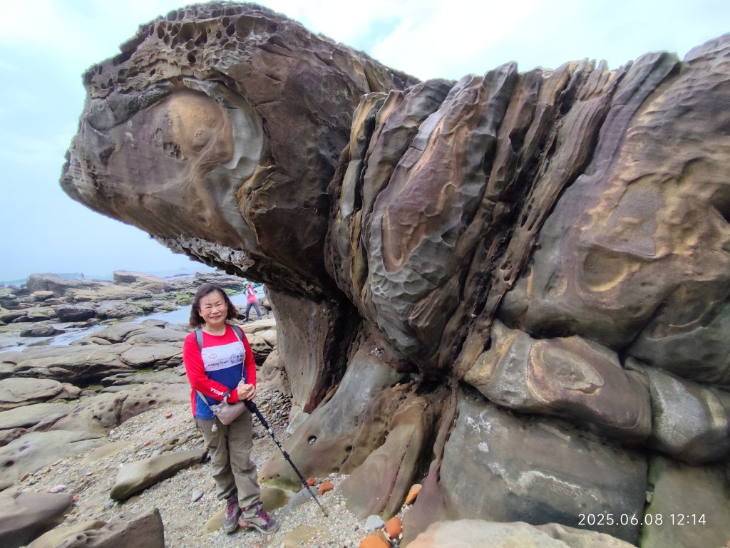 基隆輪胎步道、大武崙山、外木山國旗嶺步道、中山峽谷步道、外木山濱海大道、海龜岩封面圖