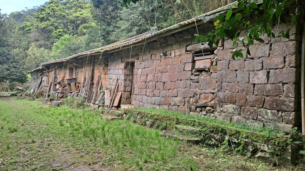 20240305坪頂古圳-登峰圳-內雙溪古道-瑪礁古道-大崎頭步道O繞_2447185