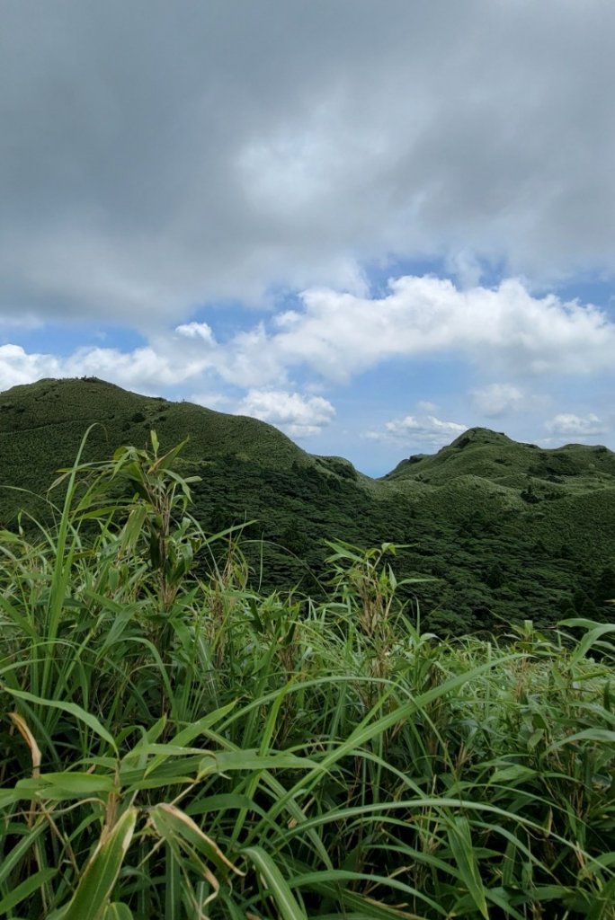 七星山南峰包場-2022/7/17_1767847