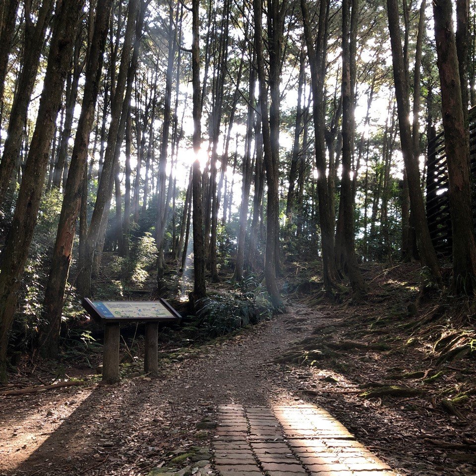 鳶嘴稍來國家步道季秋縱走_1144703