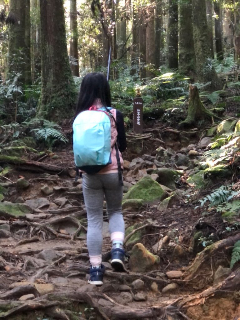 20230208小百岳苗栗加里山_2112920