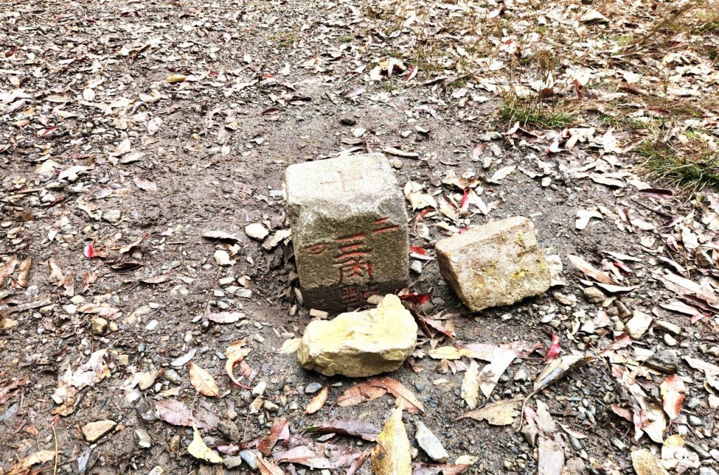 【中級山】谷關七雄八仙山_2745046