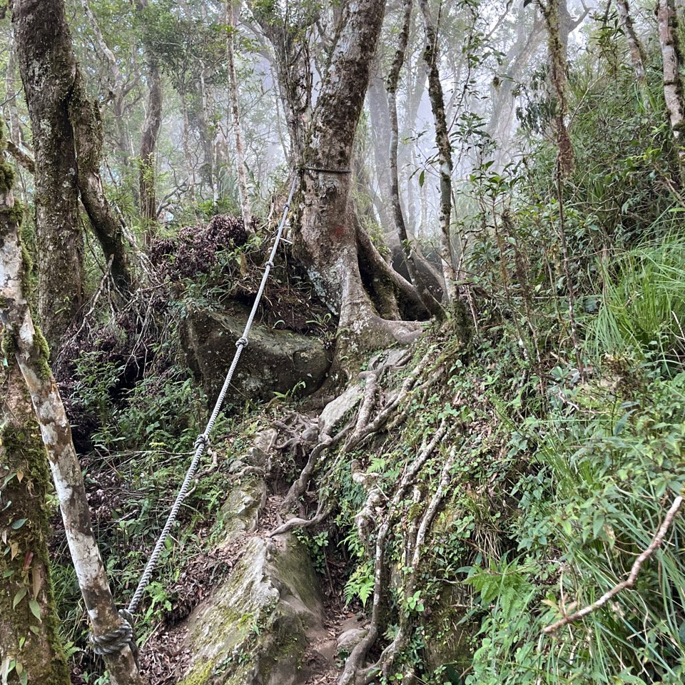 20251013_都蘭山（台東小百岳）_2941331
