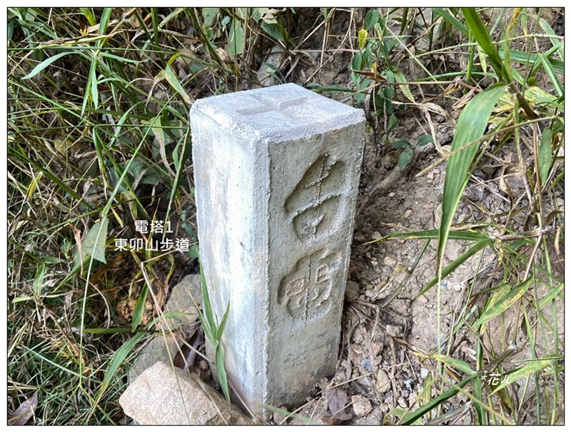 東卯山、東卯山西峰、東卯山西南峰 連走_2932786