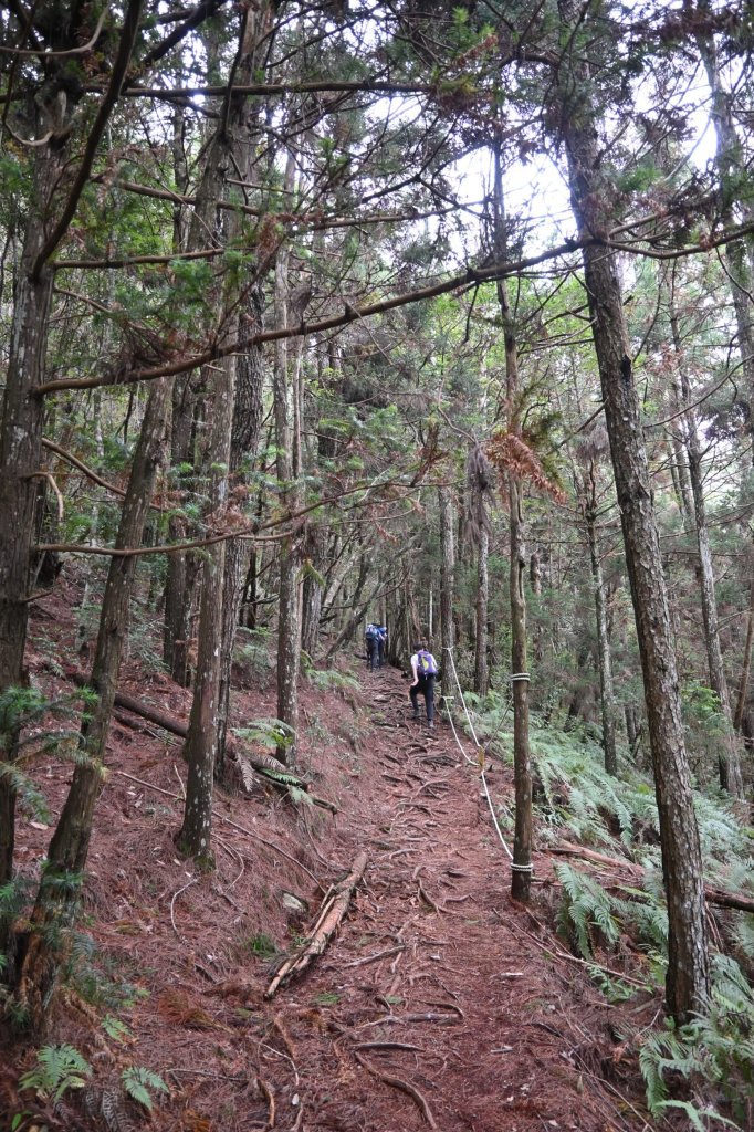 谷關七雄-馬崙山1st_2888304