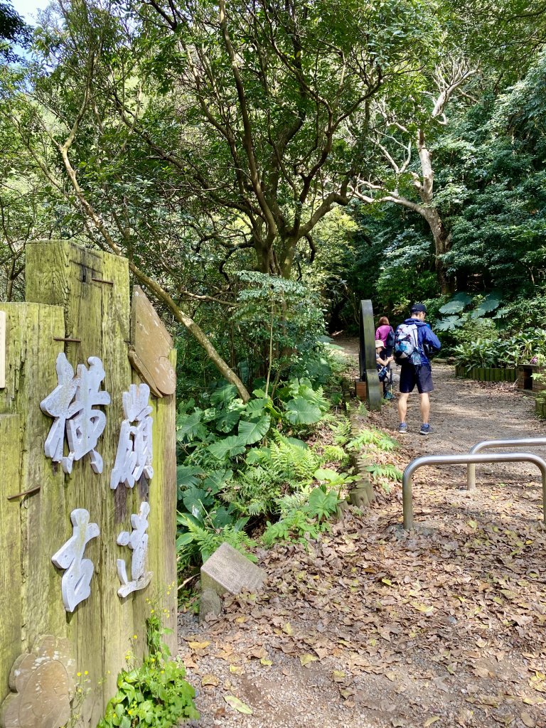 《中正山 × 紗帽山｜穿越北投古道與山林的一日縱走！》_2934986