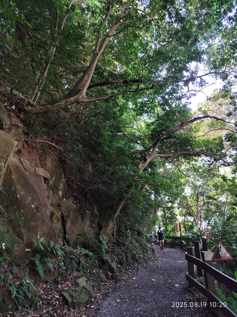 天母水管路步道→天母古道→磺溪→白雲瀑布【發現陽明山、臺北健走趣】_2864678