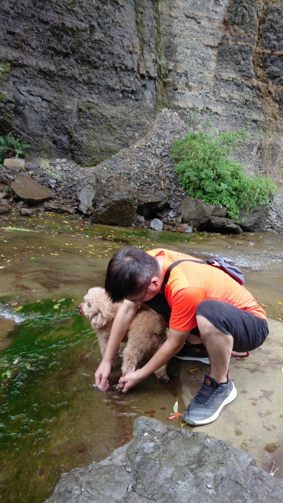 姜子寮山步道&姜子寮絕壁步道_549647