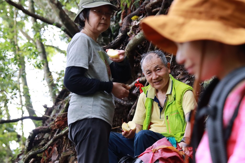 八仙山林場。清水臺封面圖